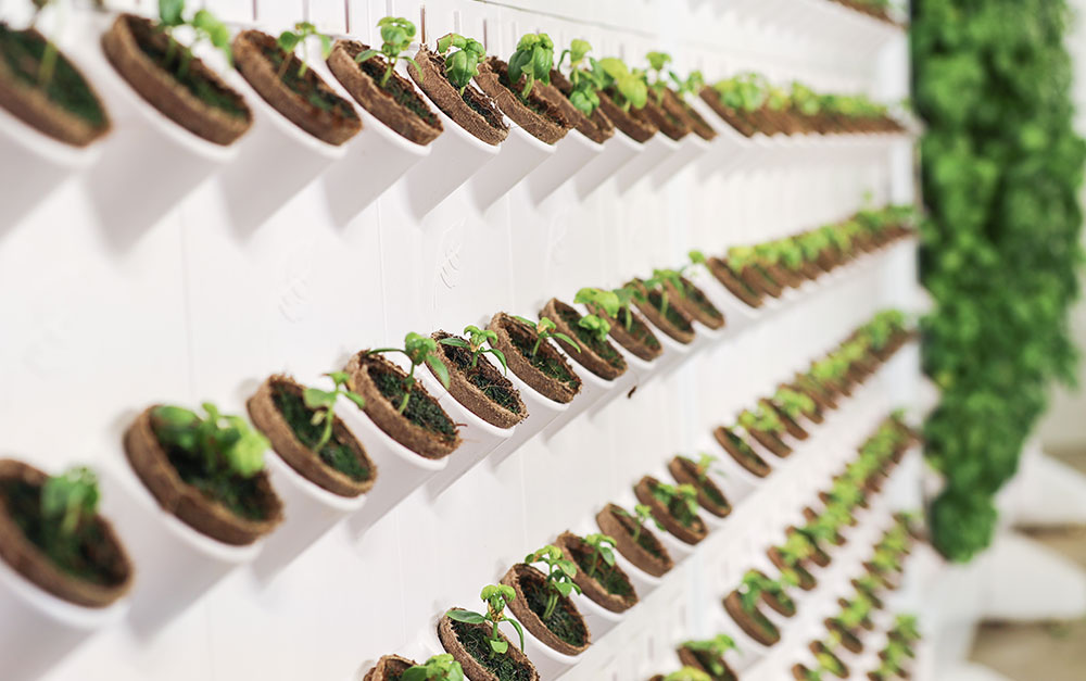Start growing with Harvest Walls